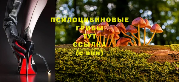 мескалин Арсеньев