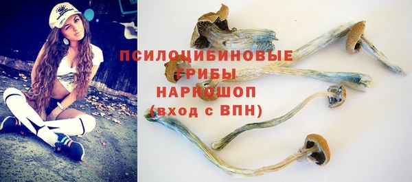 мескалин Арсеньев