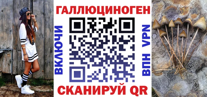 Псилоцибиновые грибы Psilocybe  цена   это состав  Певек 